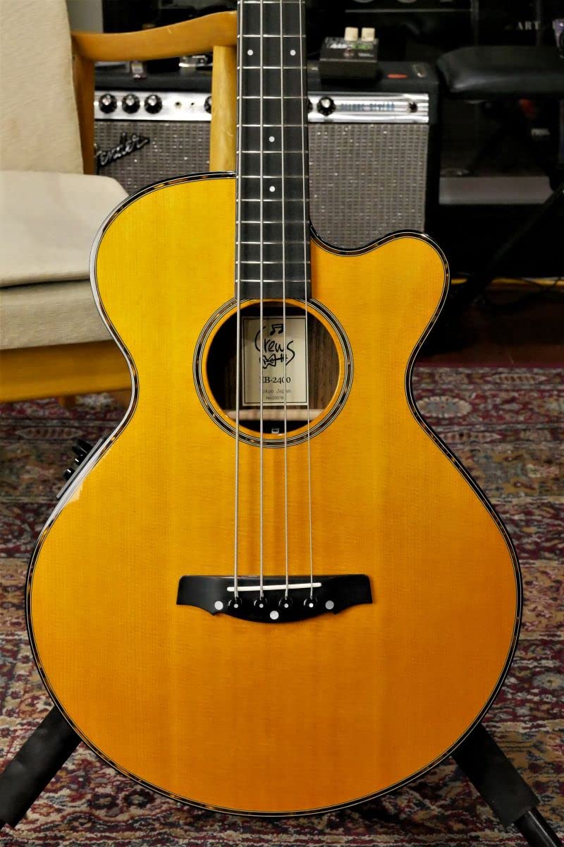 Amazon | EB-2400 / Natural Yellow/エレアコベース | エレキ
