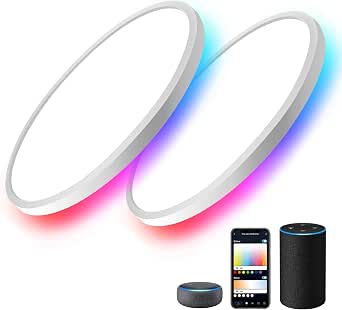 MELEGAN 2 Pack RGB Smart Ceiling Light, 12-Inch Dimmable LED Flush Mount with Alexa & Google Home Compatibility