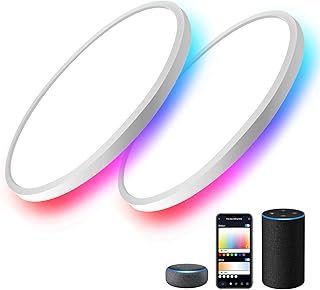 MELEGAN 2Pcs RGB Smart Ceiling Light, Super Slim LED Flush Mount Ceiling, WiFi Compatible with Alexa Google Home,12Inch 24W Dimmable 2700K-6500K for Bedroom, Kitchen, Dining Room, Basements