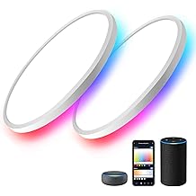 MELEGAN 2Pcs RGB Smart Ceiling Light, Super Slim LED Flush Mount Ceiling, WiFi Compatible with Alexa Google Home,12Inch 24W Dimmable 2700K-6500K for Bedroom, Kitchen, Dining Room, Basements