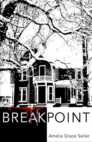 Break Point (A Kate Scholfield Mystery Book 1)