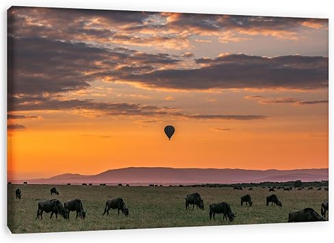 EYEZER Hot Air Balloon Poster Hot Air Balloon Decorations Hot Air Balloon Wall Decor Hot Air Balloon Painting for home decor Grassland 80x125cm31x49in Innerframe