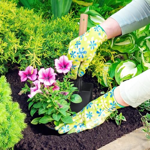 Pala de mano pequeña con mango de madera para jardín miniatura 3