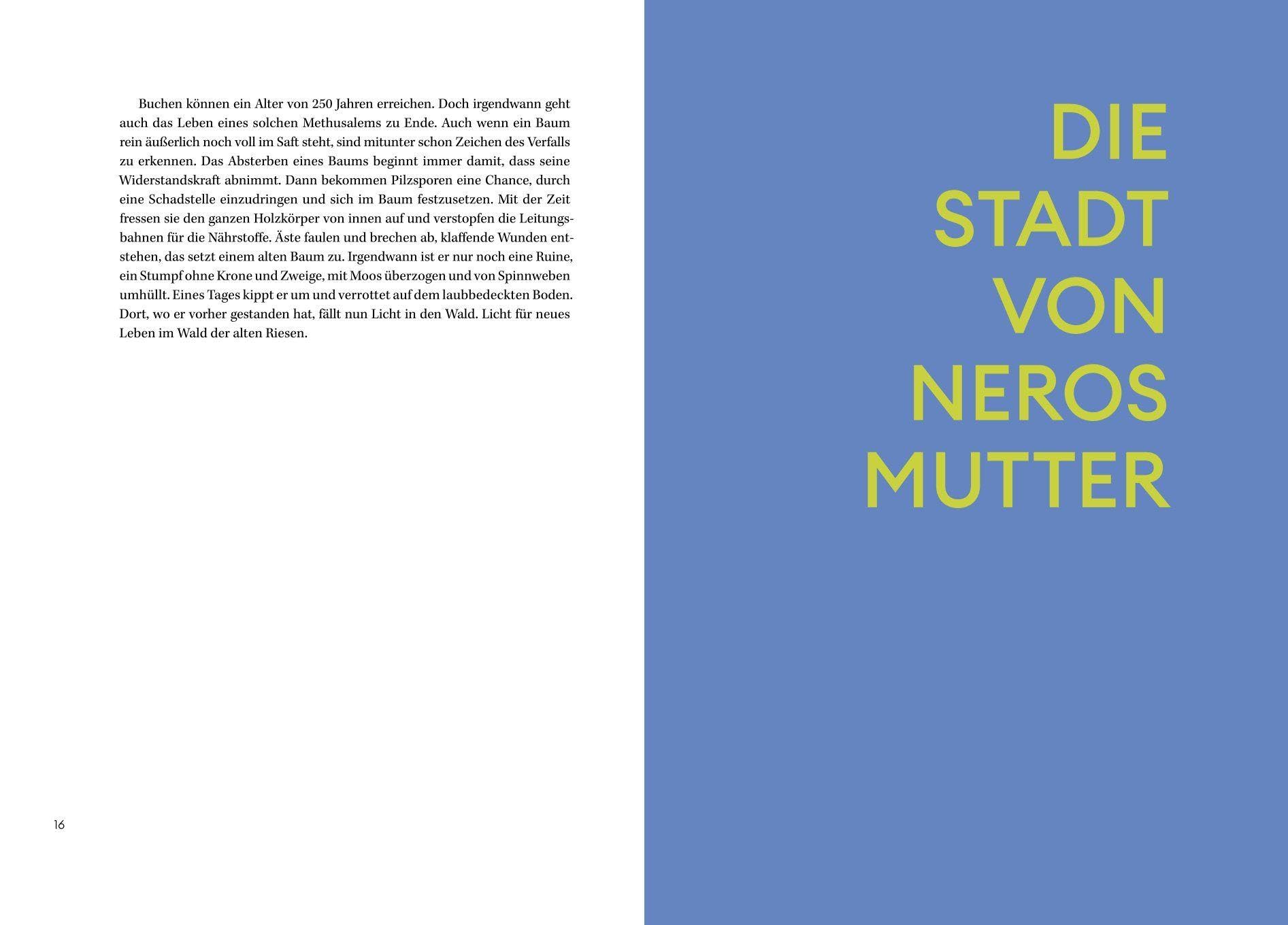 Köln: Geschichte einer europäischen Stadt. Kurzweiliger Text-Bild-Band über die Kölner Stadtgeschichte und die historische und kulturelle Stadtentwicklung von Kölns Gründung bis heute