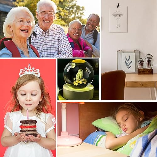 Miniatura 7 de Bolas de cristal de búho 3D de 2.362 in con decoración de bolas de cristal, coleccionables, esferas de nieve, esfera de cristal de regalo, con base