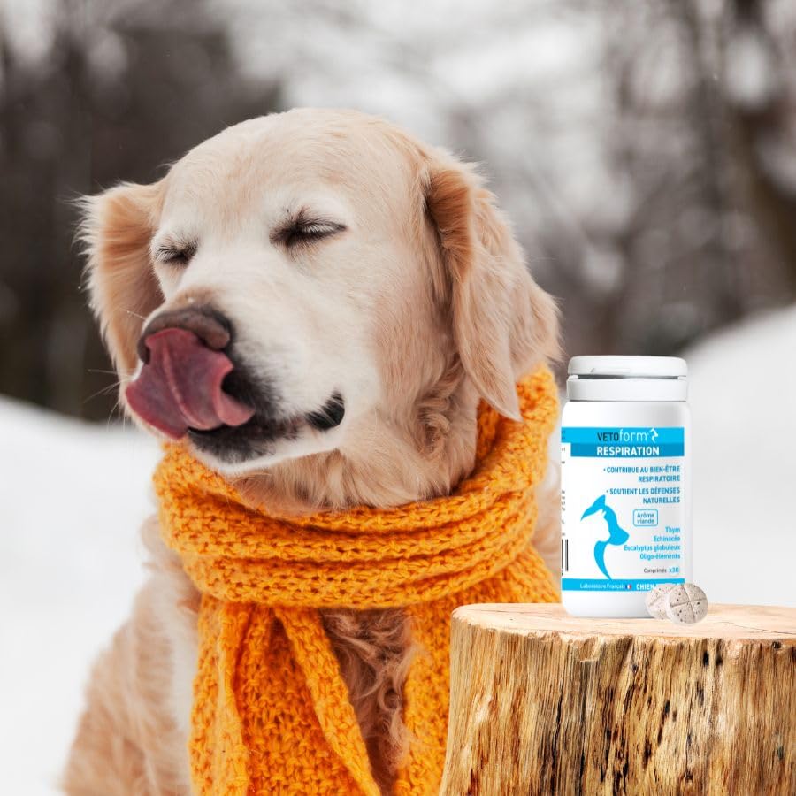 Complément Alimentaire VETOFORM Respiration - 30 Comprimés - Pour Chien Et Chat - Eucalyptus, Thym, échinacée