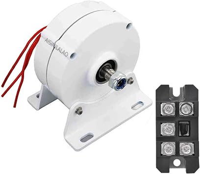 6000W Three-Phase Alternator, Permanent Magnet Electric Motor Generator DIY AC Alternator Permanent Magnet Motor with Rectifier 48V