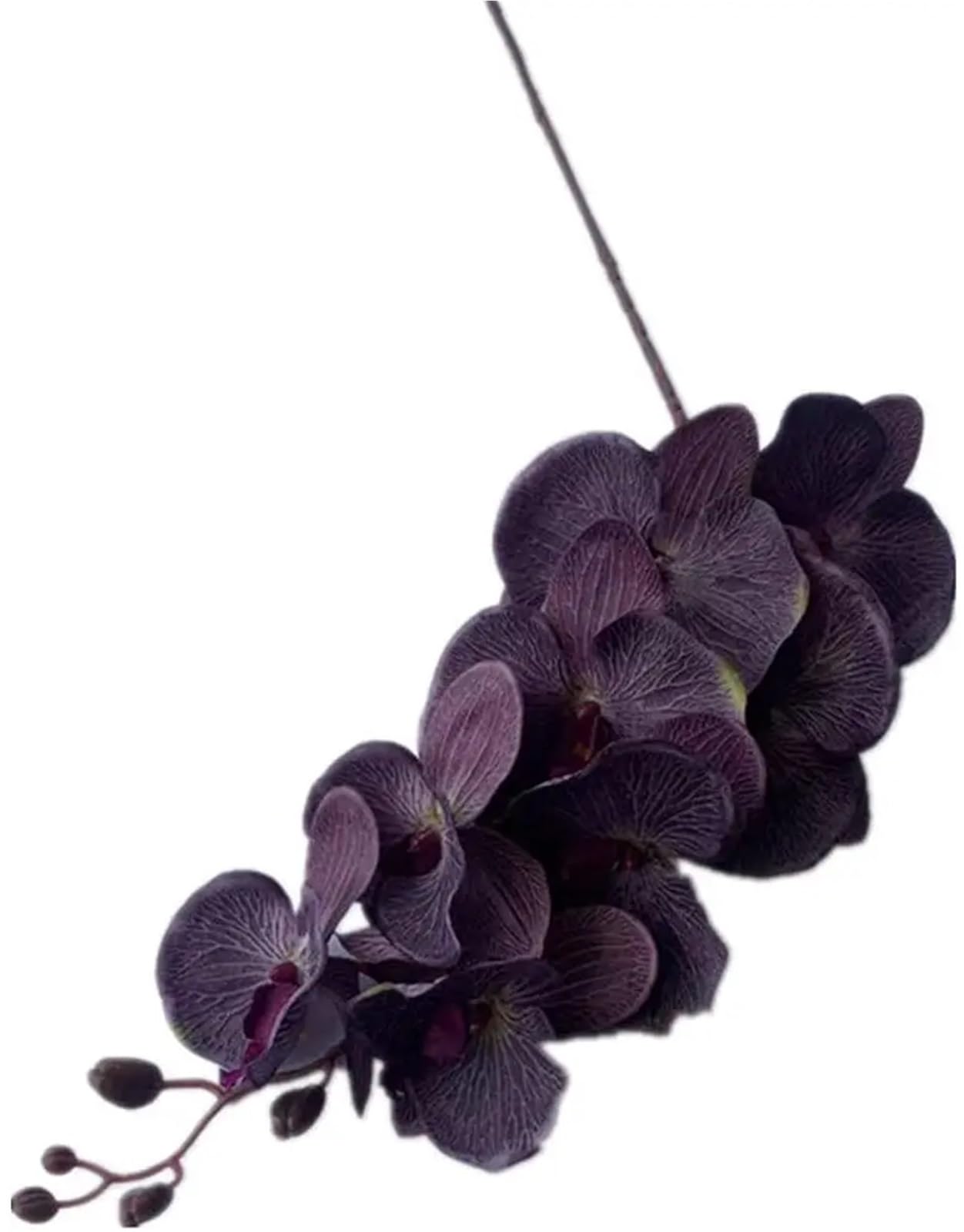 LSYHHXC Artificial Orchid 5p Orchids (8 Heads/piece) Big Size Phalaenopsis Moth Black/white For Wedding Centerpiece Decorative