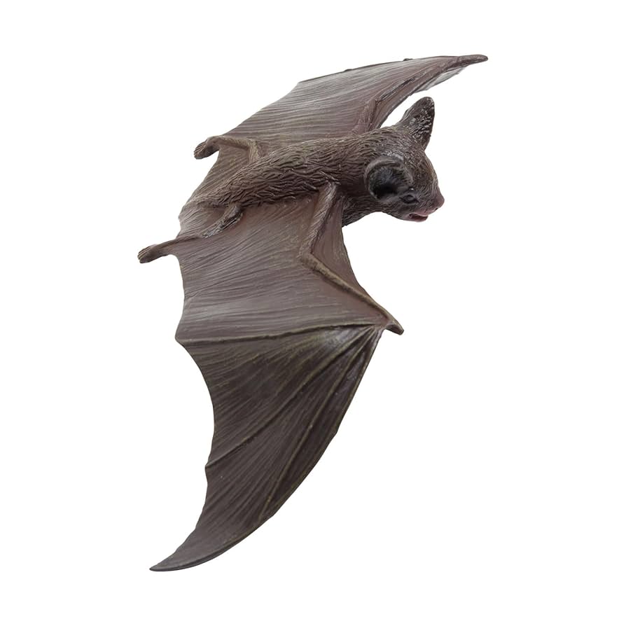 コボリサヤカ様作品　アルビノコウモリとハリネズミ カトリーヌコラム 第4回「単眼コウモリ アイビー EYEBAT BEAST