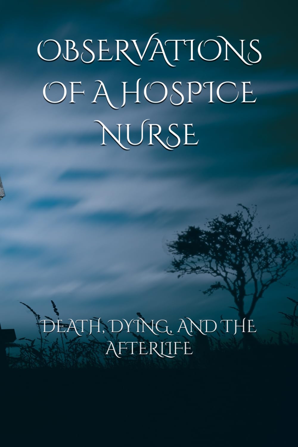 OBSERVATIONS OF A HOSPICE NURSE: DEATH, DYING, AND THE AFTERLIFE