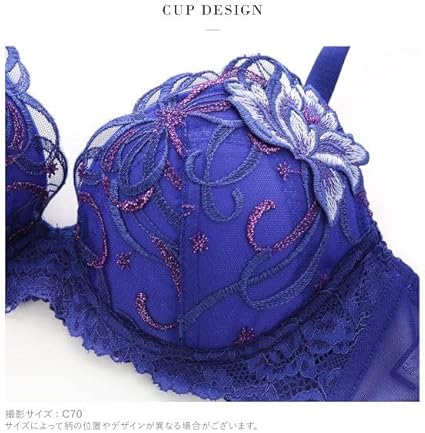 Salute◇30G◇限定コレクション◇P- upBra& ソングM Lサイズ Salute