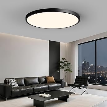 Ceiling Light LED Ceiling Light Black 36 W 40 cm 4000 K 3000 LM [Energy Class E]