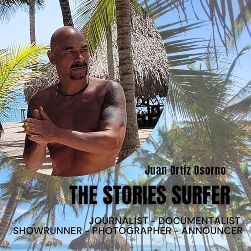 Couverture de The Stories Surfer.