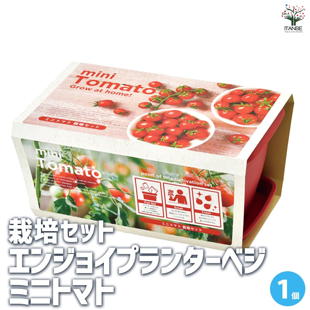 Amazon｜ITANSE 栽培セット エンジョイプランターベジ ミニ