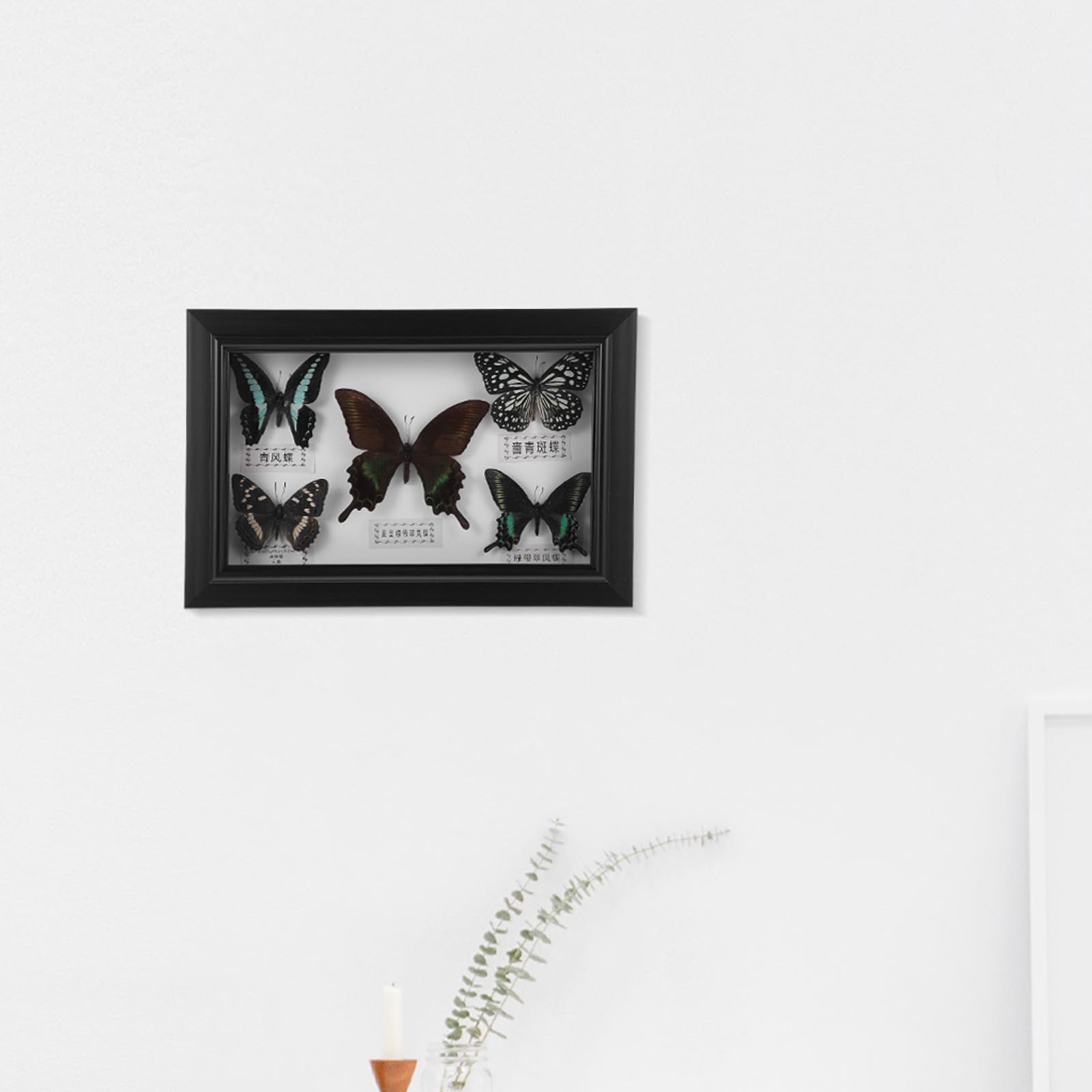 Marco de Muestra de Mariposas en Madera con Acabado Exquisito para Decoración de Pared, Adorno Adecuado para Sala de Estar y Obsequio de Cumpleaños