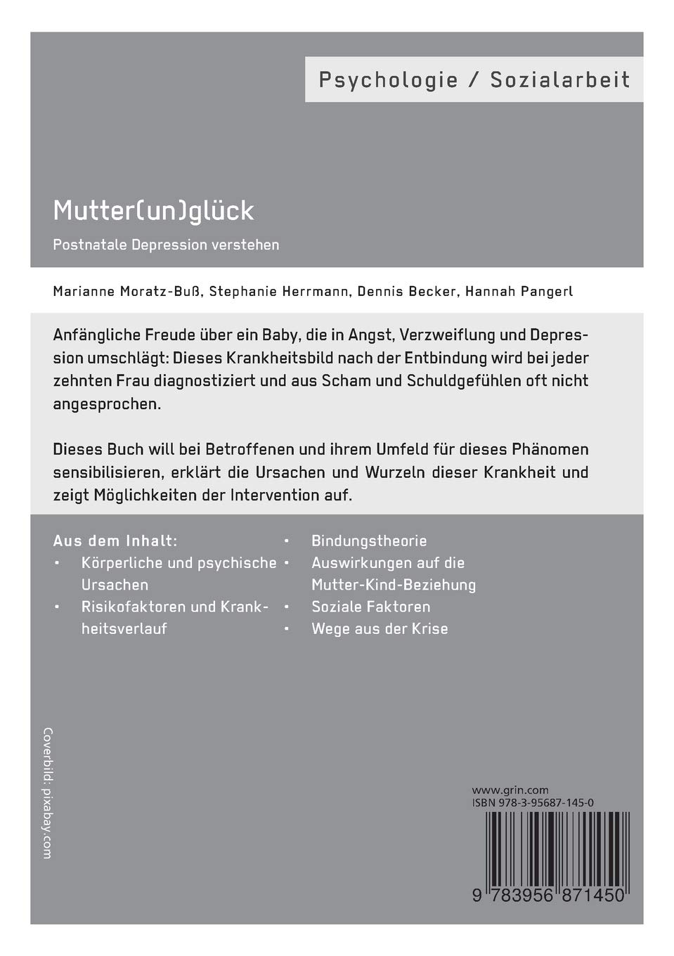 Mutter(un)glück. Postnatale Depression verstehen