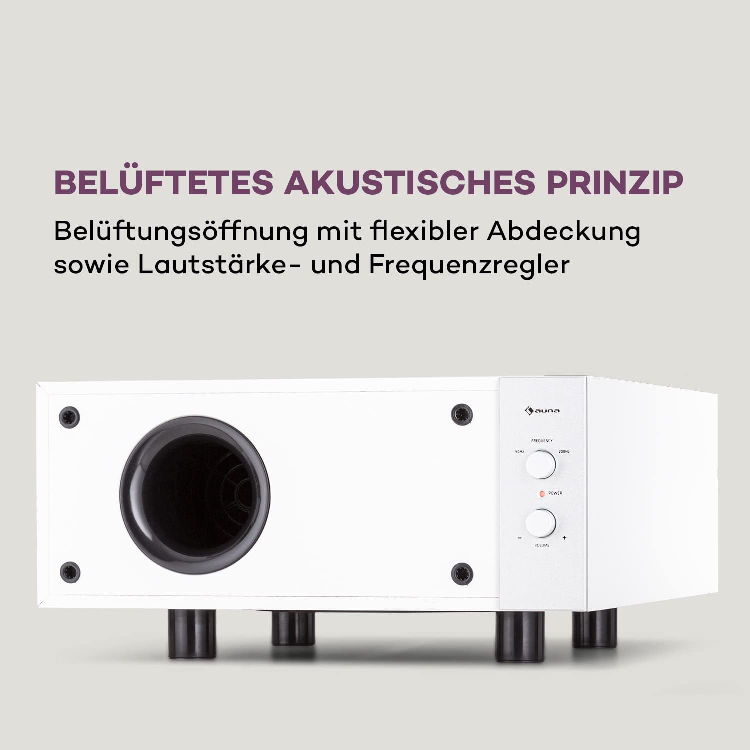 auna Two Hi-Fi Subwoofer mit Auto-Off, 80W RMS Subwoofer Passiv, HiFi-Lautsprecher Boxen für Heimkino, klein mit Starkem Bass, 100W HiFi Anlage, AUX für MP3 & CD Player, Lautstärkeregler