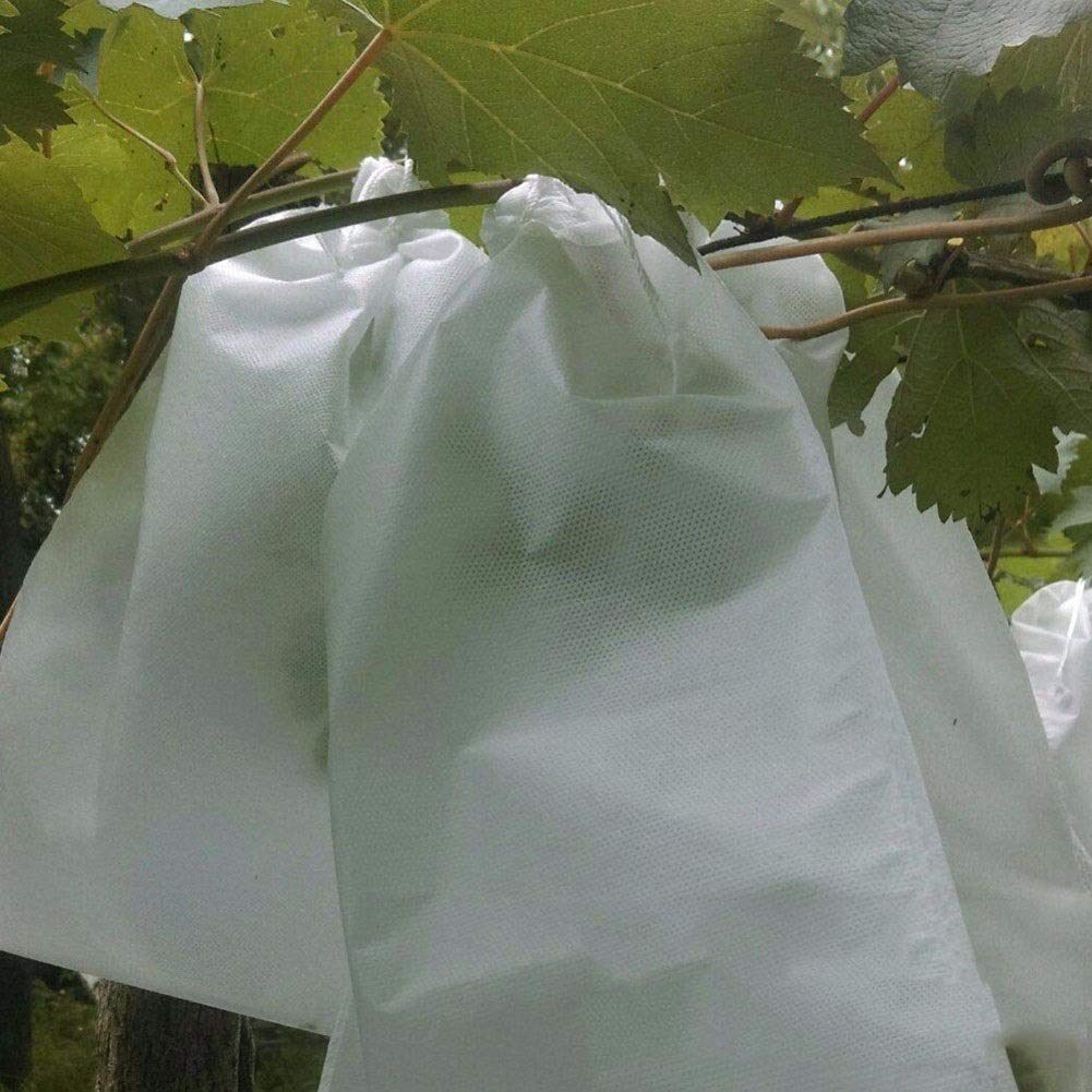 Bolsas Protectoras contra Insectos para Uvas, Bolsas de Malla antiinsectos for Cultivo Frutas, Verduras y Uvas, 100 Unidades(XL)