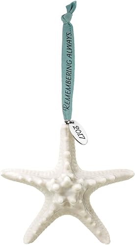 Hallmark Recuerdo 2017 Remembering Always Starfish Bereavement - Adorno navideño de porcelana prémium