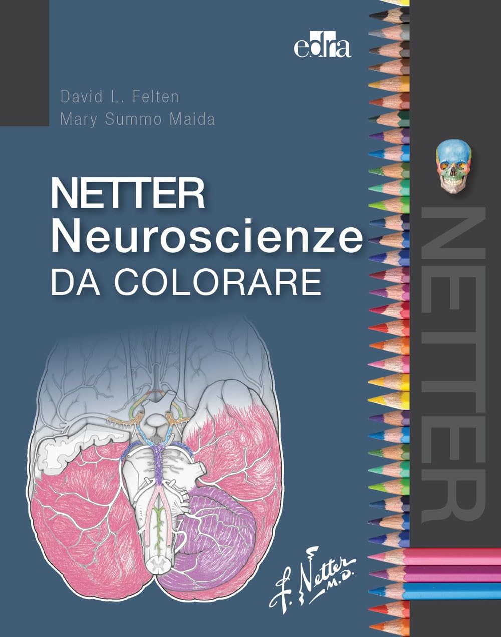 Netter Neuroscienze Da Colorare - 4