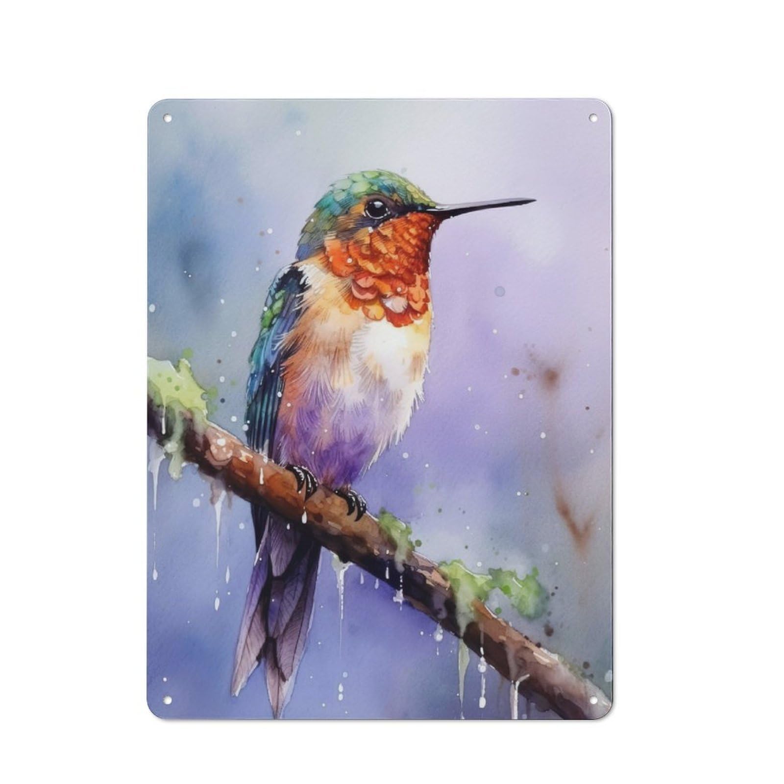 Junmoney Hummingbird Watercolor For Garden Room Or Summerhouse, Rustic Tin Sign 40X30cm, Tin Sign Wall Decor For Garden Rooms And Summerhouses