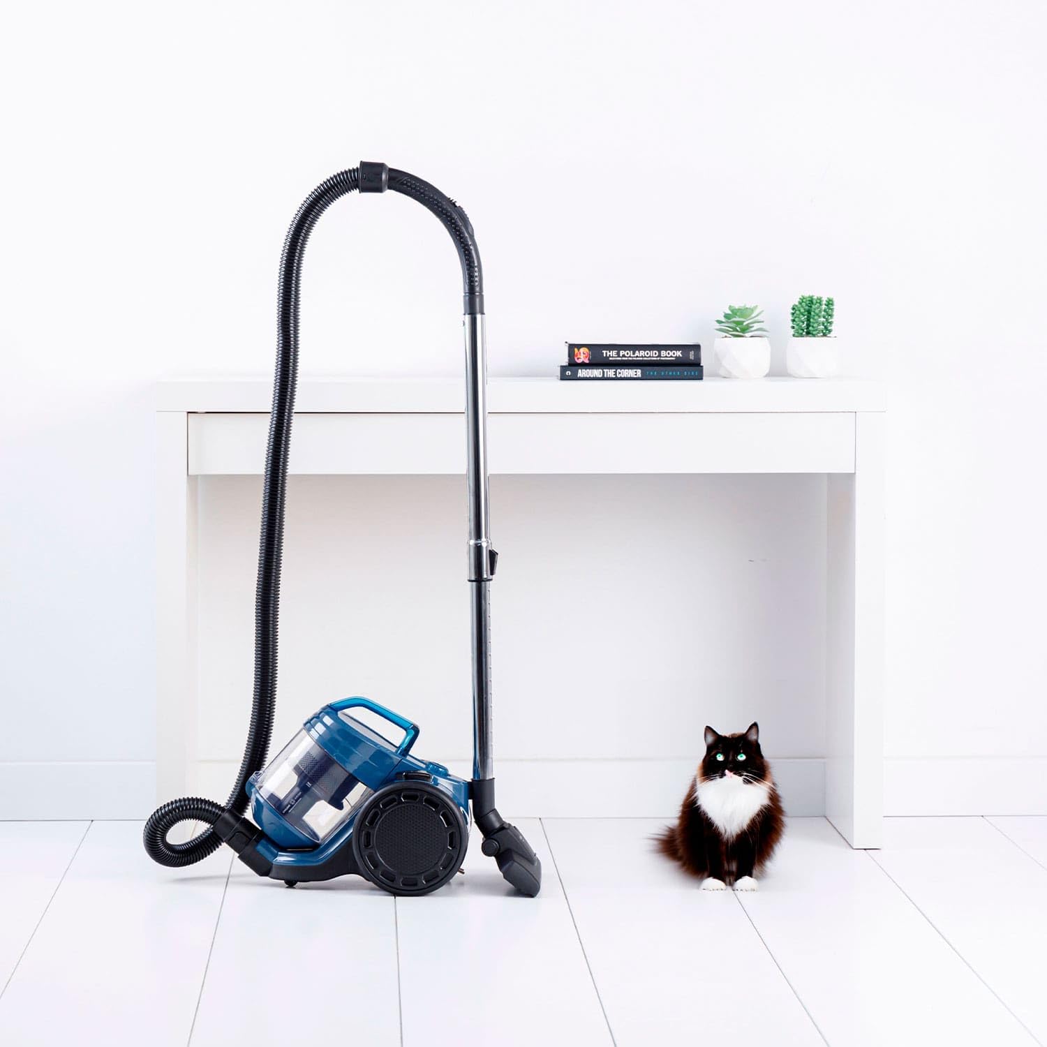 Taurus Homeland Cyclone Animal - Aspirador de Trineo sin Bolsa, 800W, 18Kpa succión, filtrado ciclónico + Hepa, Zapata depósito 2L, Cable 5m, Zapata Dual Pro Air, Zapata Animal Mini Turbo Brush
