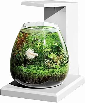 Amazon.co.jp: GEX AQUARIUM グラスアクア PERCO T-WH オールインワン