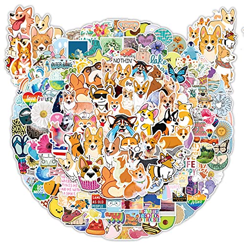 Water Bottle Stickers Pack, Waterproof Stickers, Kid Stickers, Laptop Stickers for Adults, Cool Stickers for Teens, Vinyl Stickers for Kids