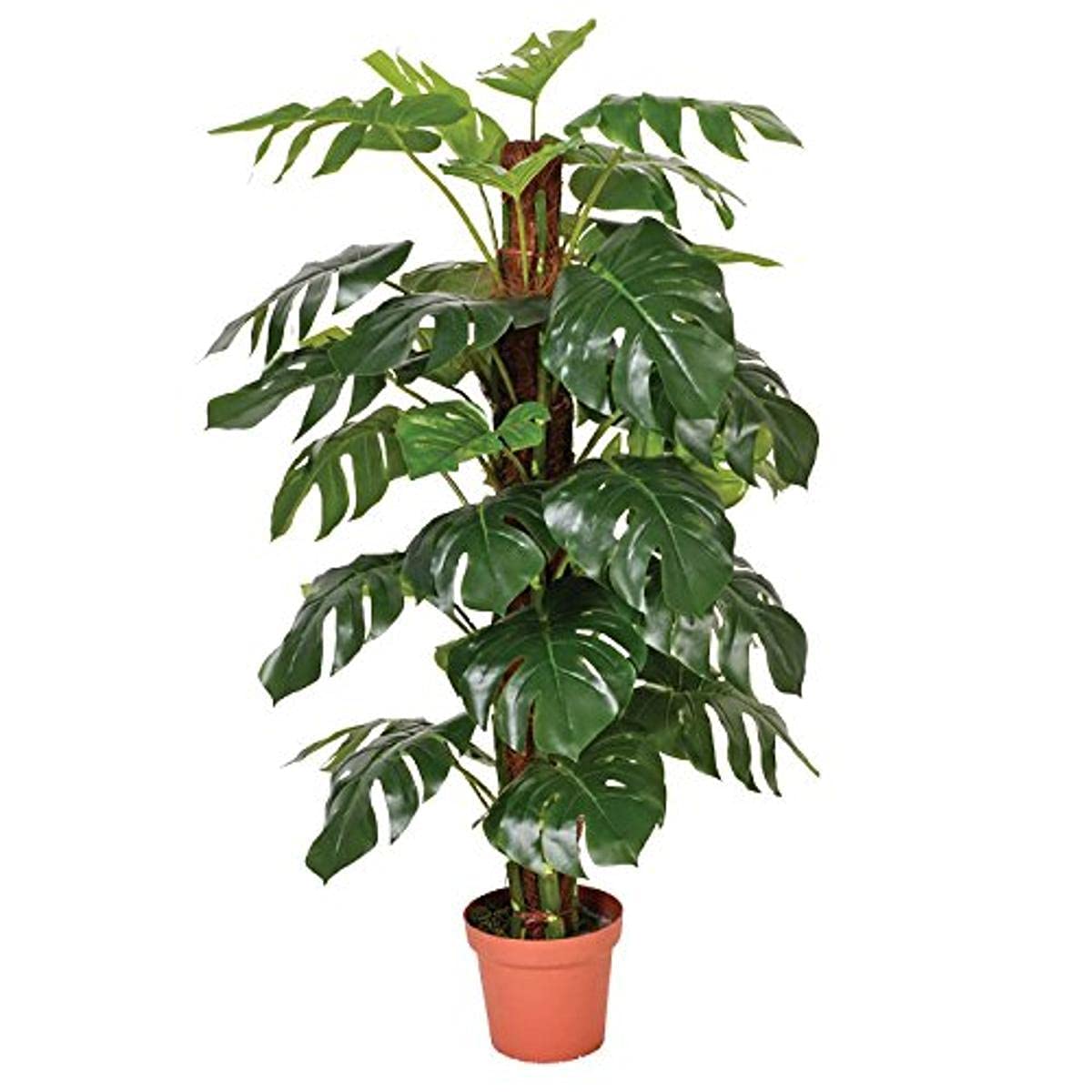 Catral 74010020 Planta artificial Monstera, 22.0x22.0x135.0 cm | Producto Nortene Para Jardín, Terraza Y Exterior, Resistente Y Duradero Para Uso Exterior Continuado. Fácil Instalación