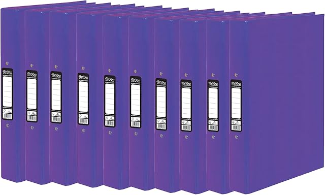 10 x Pukka A4 Glossy 2-Ring Binder File School Work Office 40mm Spine File Organiser (Purple)