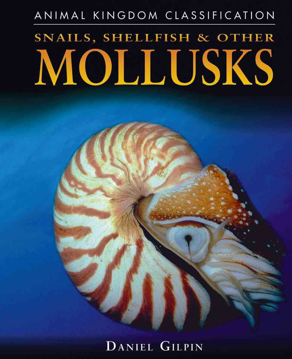 Snails, Shellfish, & Other Mollusks (Animal Kingdom Classification