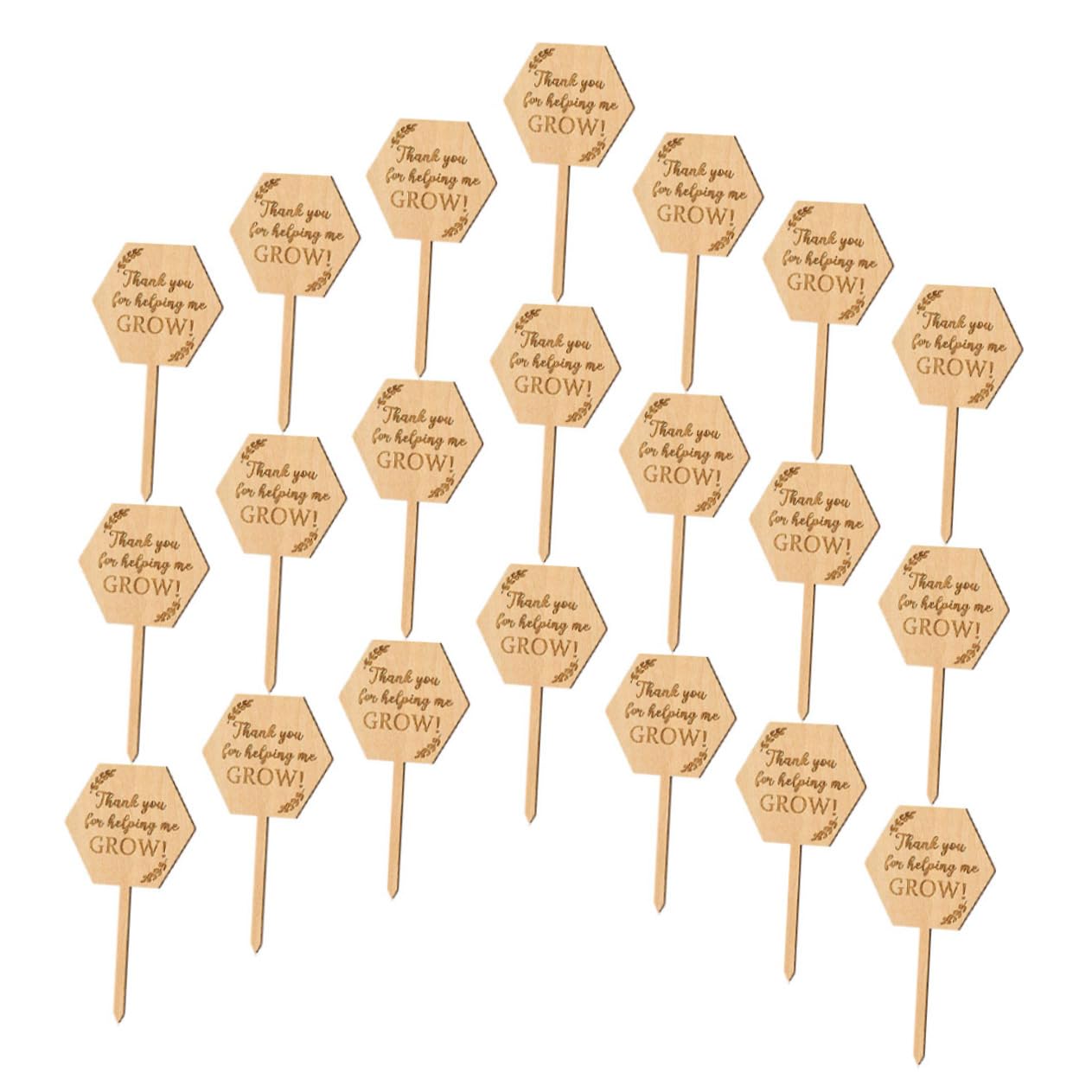 ibasenice 3 Ensembles Étiquette En Bois Étiquettes De La Plante Suspendue Marqueur De Jardin Marqueurs De Plantes De Jardin Étiquettes De Semis Petites Étiquettes De Jardinière 40 Pièces * 3