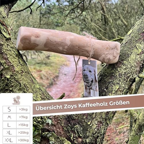 Zoys Kaffeeholz für Hunde - 3er VORTEILSPACKUNG -XXL ab 30kg Gewicht - Natürlicher Kauknochen für Zahnreinigung & Zahngesundheit & nachhaltige Beschäftigung - Hundezubehör langlebig & risikoarm