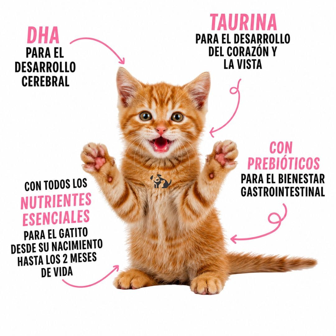 ANIMALUJOS - Kit Lactancia Gatitos con 6xLeche de Cabra Schesir 150ml Incluye Biberón Tetina Cepillo, Alimento Completo Sin Cereales con DHA Taurina para Cachorros Recién Nacidos