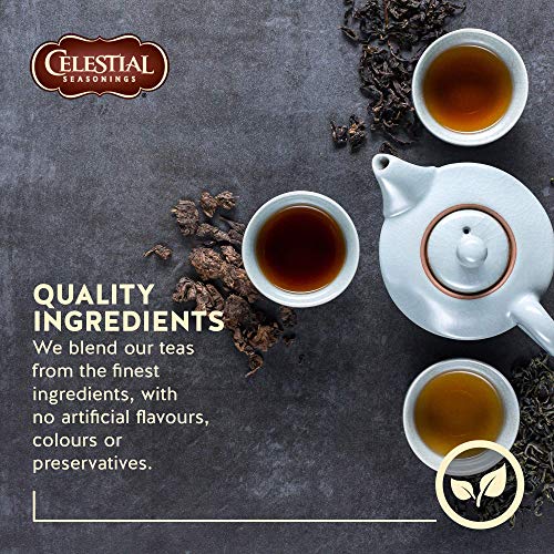 Celestial Seasonings Herbal Tea, Sugar Plum Spice, 20 Count Box #TOP3