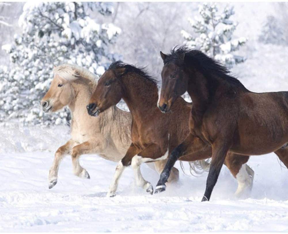 Diy Digital Painting Adult And Children By Digital Painting Oil Painting Gift Set Pre-Printed Canvas Digital Oil Painting Decoration Gift Art Decoration Horse Group