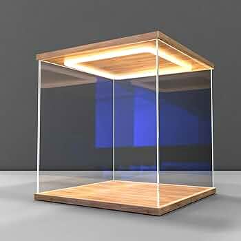 木製 展示用ケースだけ 61KgWgnupnL._AC_UF350,