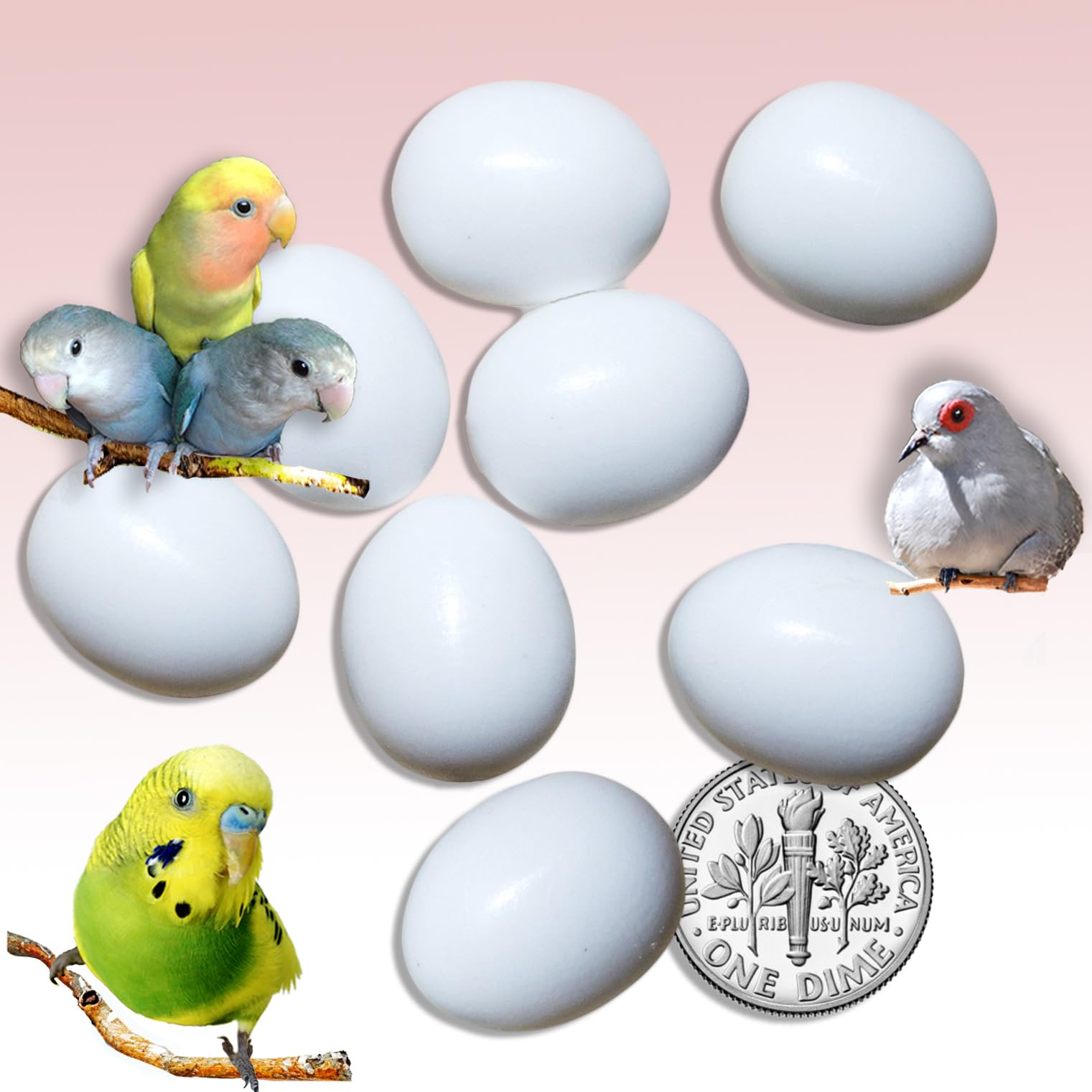 Dia Dove DE Brand USA - Huevos falsos de plástico sólido, 7 huevos falsos de periquito, loro, Dia Dove DE Brand USA