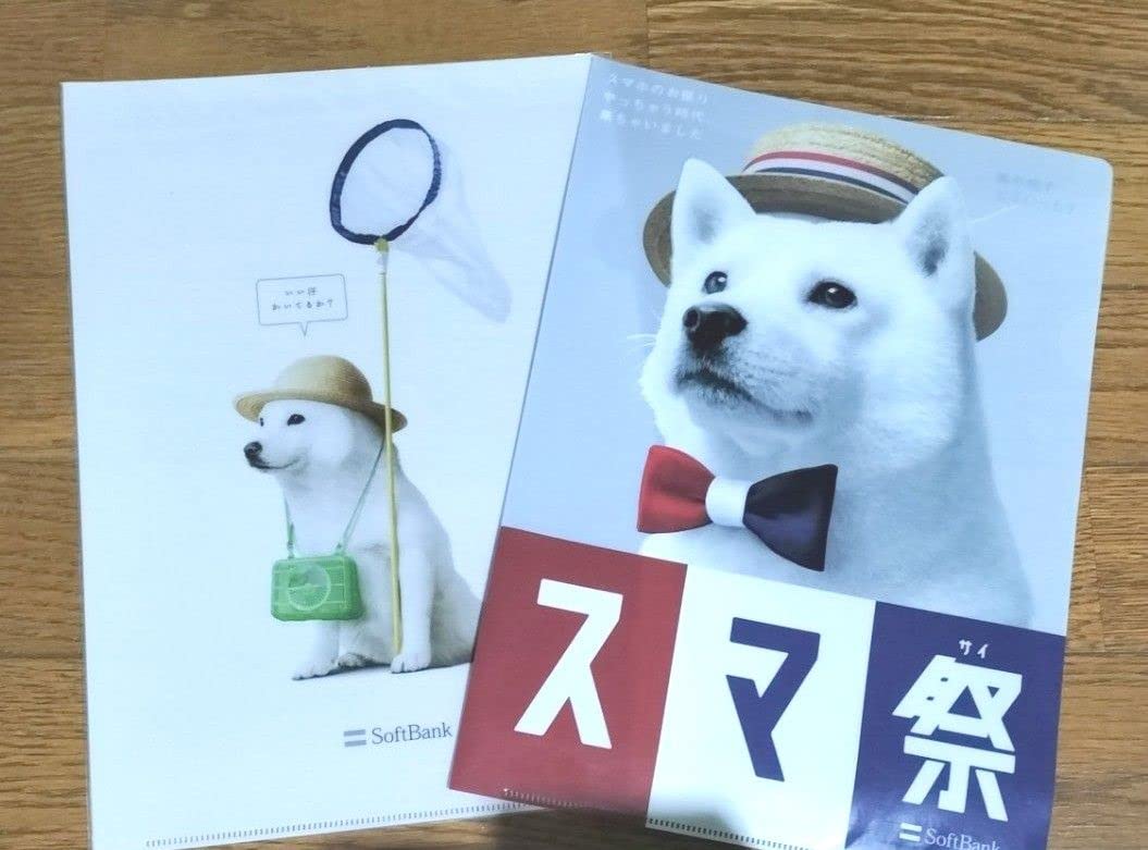 Amazon.co.jp: ソフトバンク お父さん犬 A4クリアファイル : スポーツ
