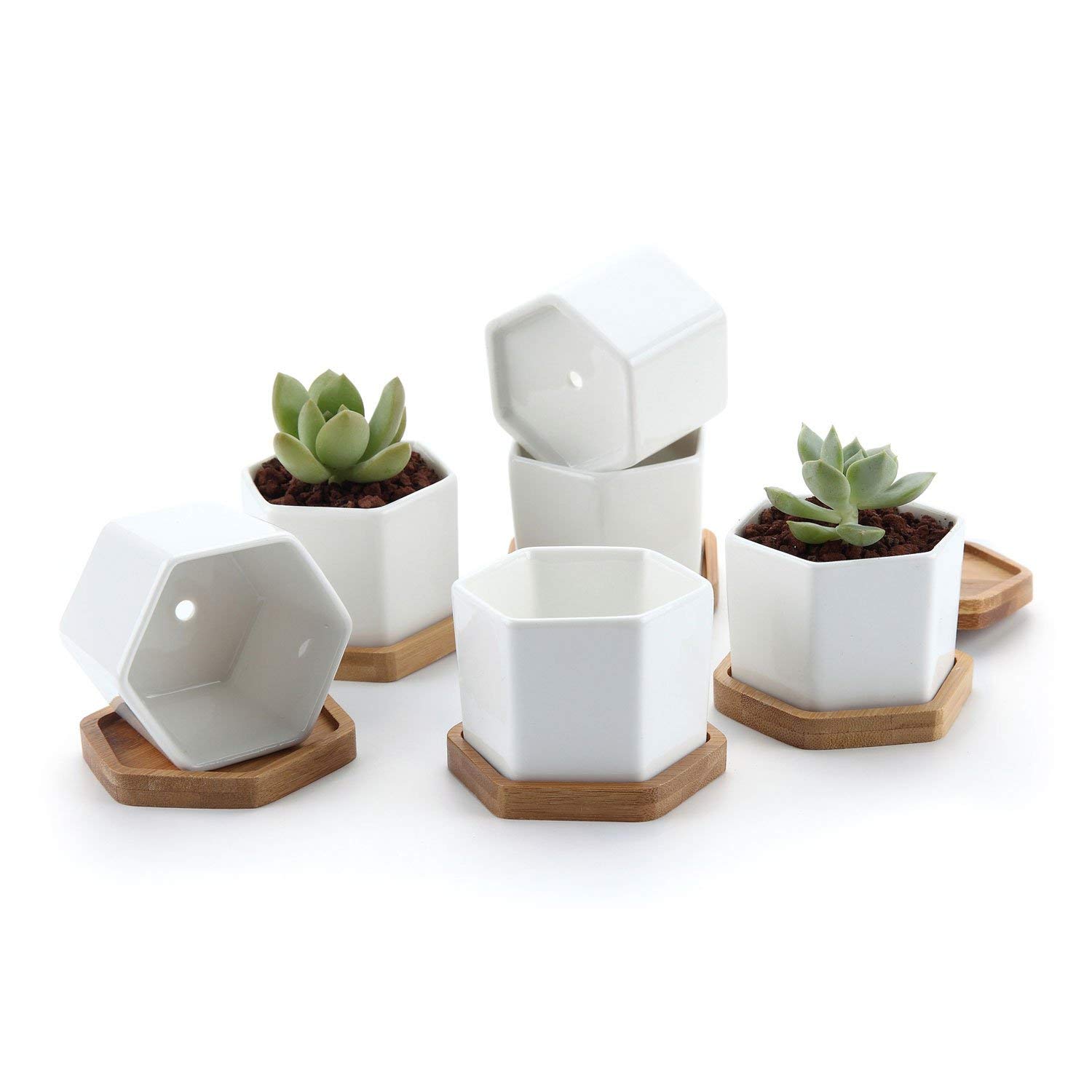 T4U Small White Succulent Planter Pots with Bamboo Tray Hexagon Set of 6, Geometric Ceramic Cactus Plant Holder, Gifts for Plant Lover Gardener Women, Home Office Table Desk Decoration