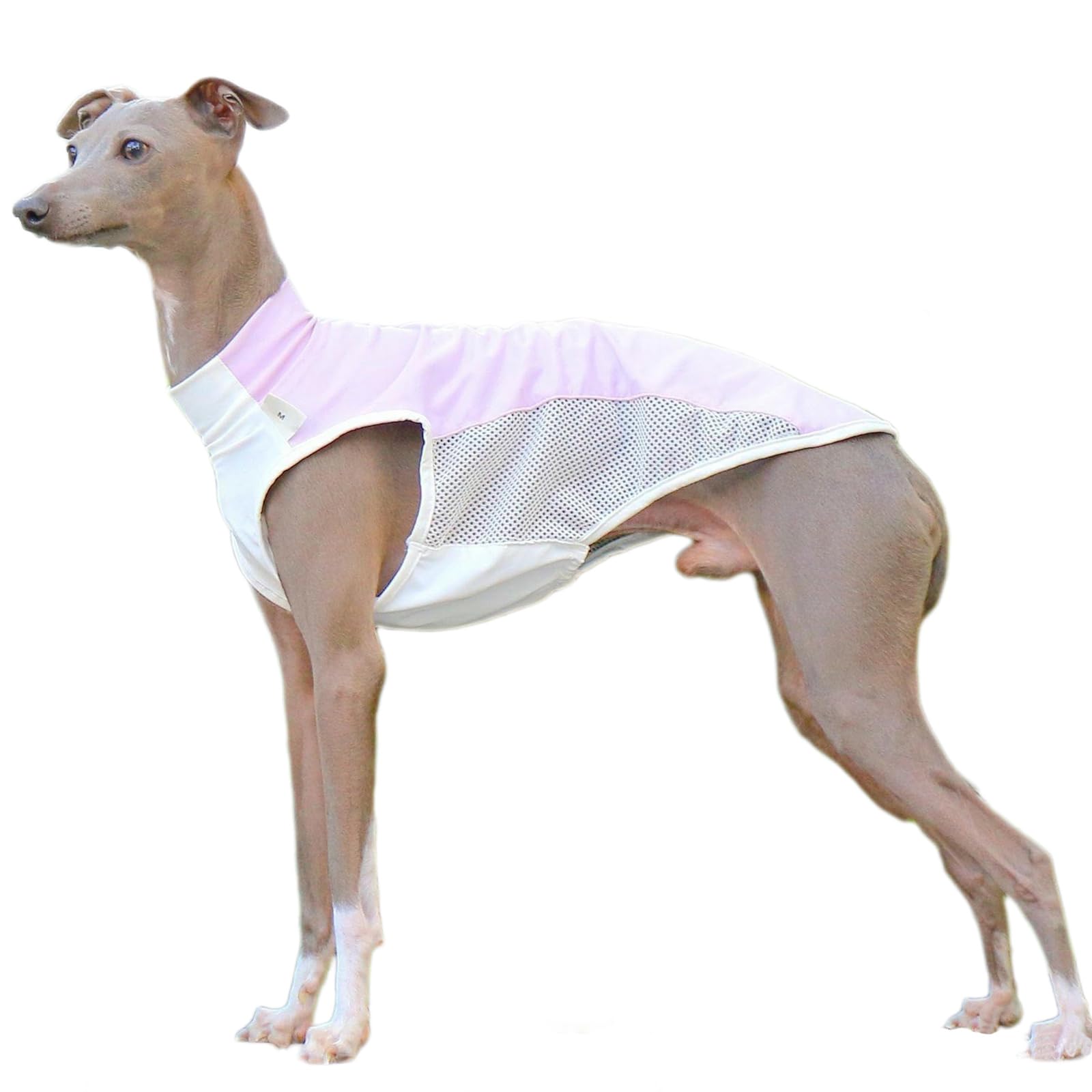 UOSIA Sun Protection Pet T-Shirts,Quick-Dry Breathable Mesh Dog Vest Clothes for Italian Greyhound Whippet Dogs