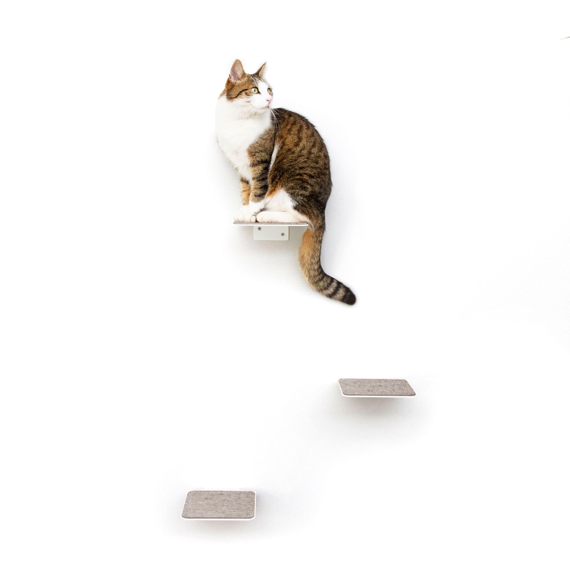LucyBalu® Steps Katzentreppe Wand Innen & Außen 3er Set | Katzen Kletterwand | Wandpark für Katzen bis 7kg | Katzenleiter | Anti-Rutsch Beschichtung | 3 Stufen | Wandbefestigung | 18 x 18 cm Weiß