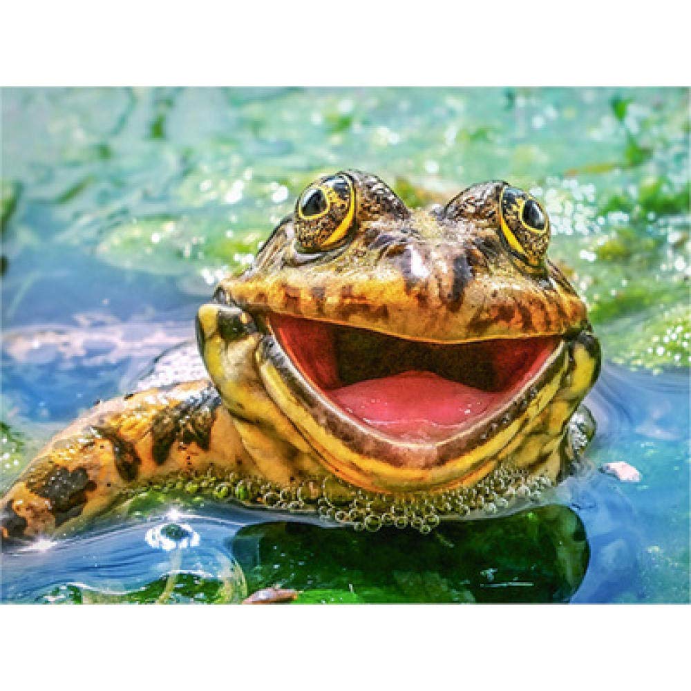 Peinture diamant 5D grenouille anti-stress avec toile adhésive grand format