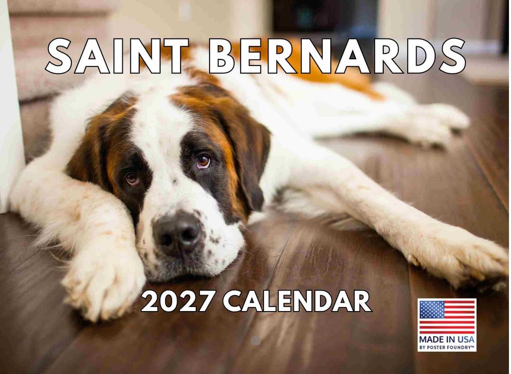 Saint Bernard Calendar 2025 Monthly Wall Calender | American Made In The USA โ image 1