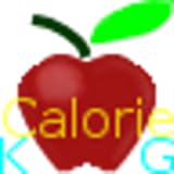 today's calorie intakes on screen