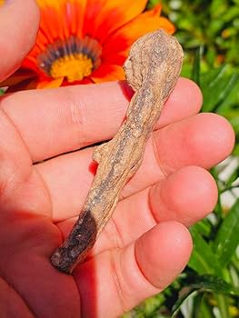 Amazon.co.jp: 特級呪物 ナリーポンとマカリーポンのセット : おもちゃ