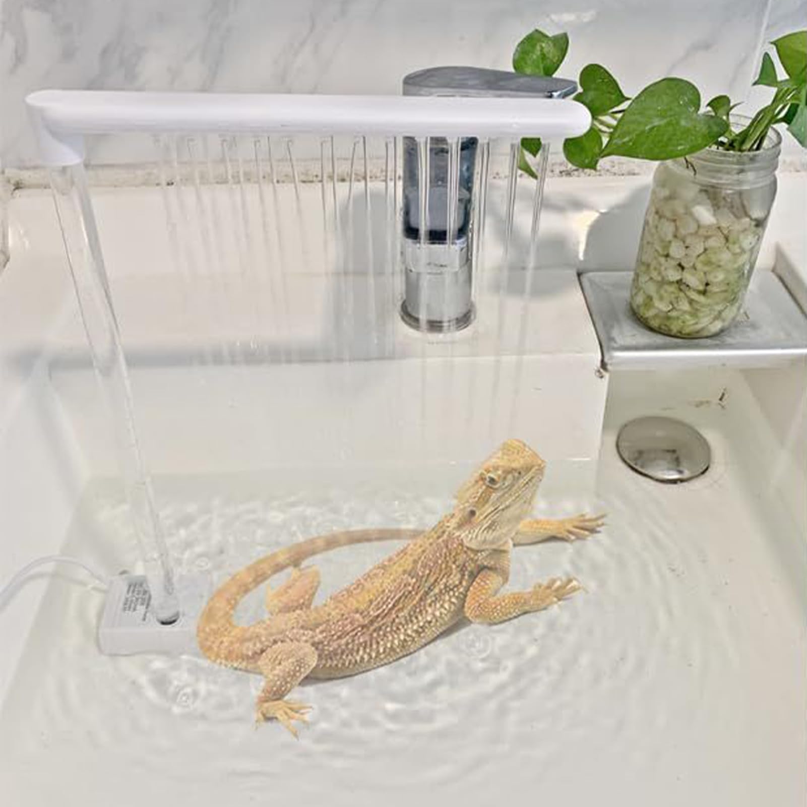 Bartagamen-Dusche elektrisches Sprühgerät mit Saugnäpfen Reptilien-Hygienezubehör Kleintier-Pflegegerät
