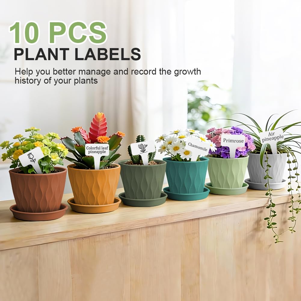View 5