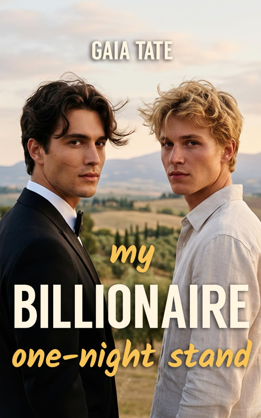 My Billionaire One-Night Stand: MM Spicy Romance Novella