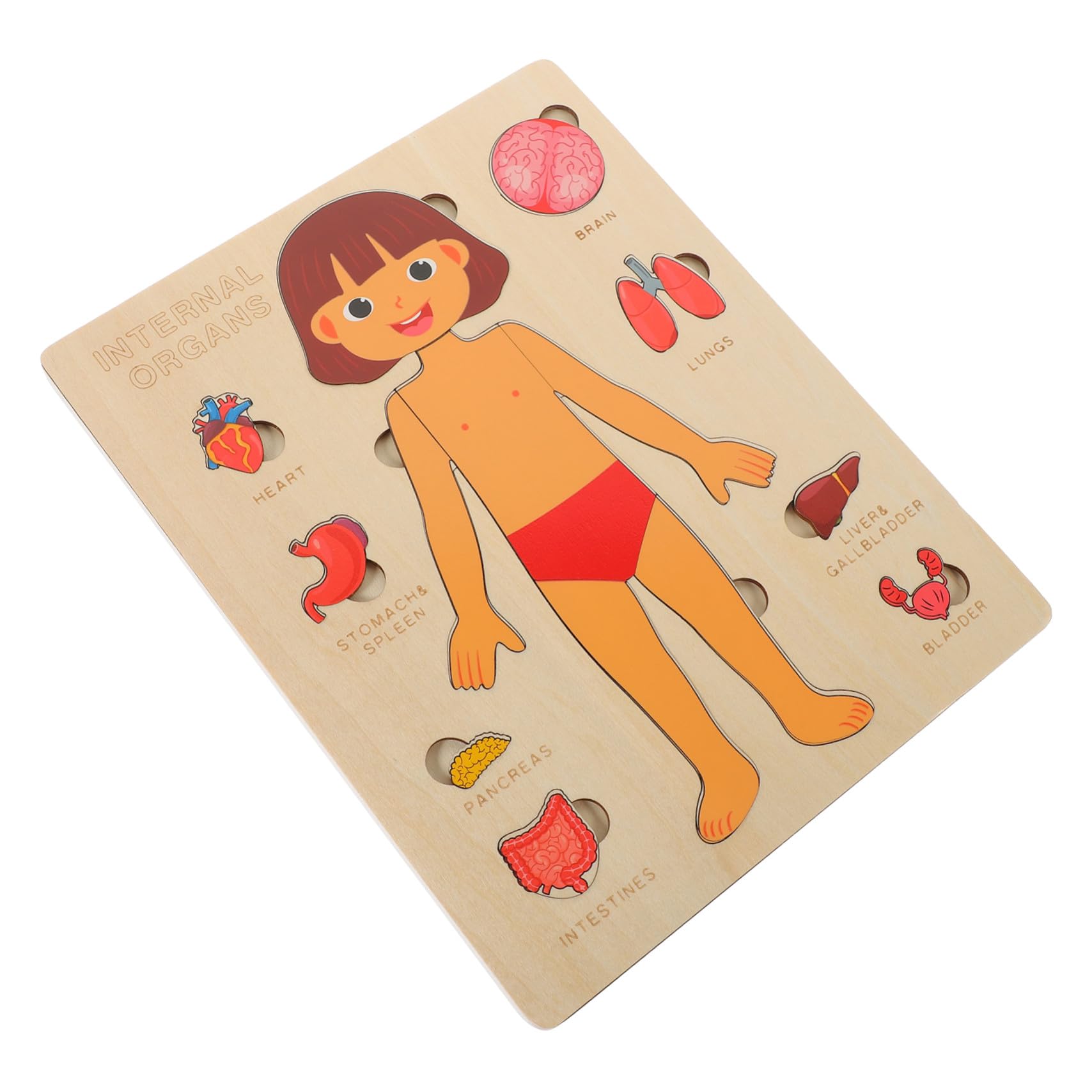 Puzzle Anatomia Umana in Legno per Gioco Educativo Organi del Corpo Didattico per Ragazzo e Aiuto Insegnamento Scuola Sviluppo Coordinazione e Memoria
